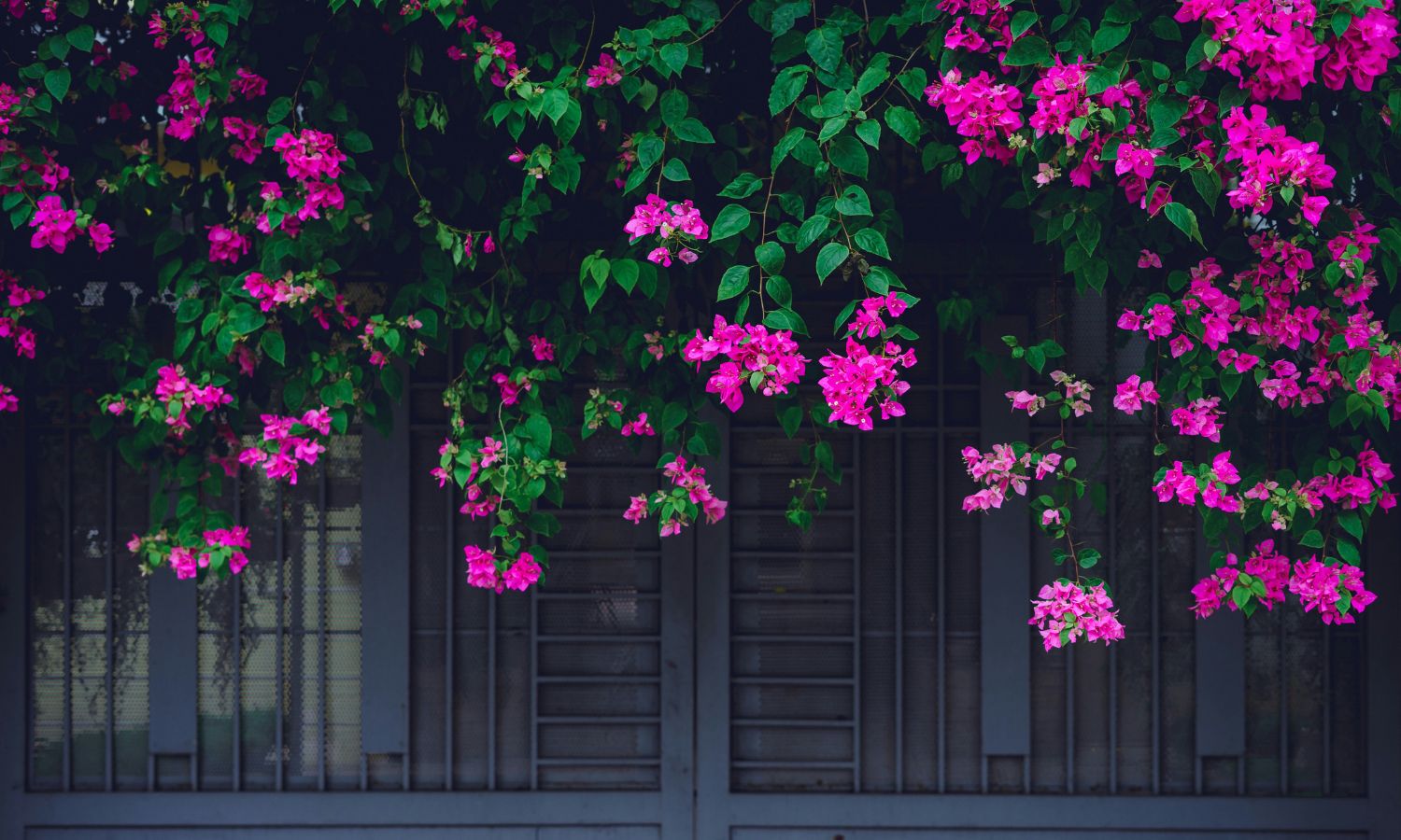 untitled design (3)