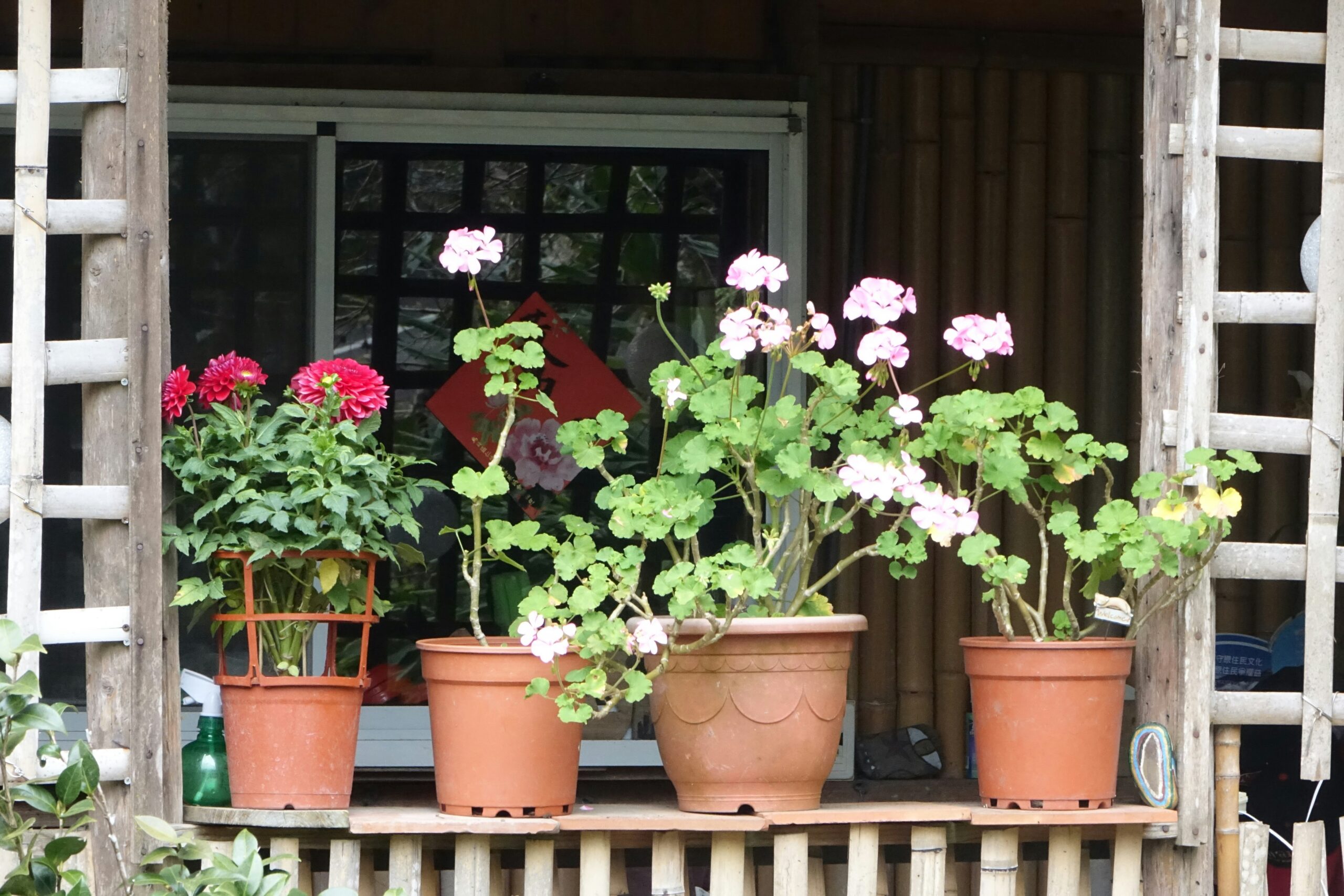 arthur tseng ip0dhcqikts unsplash