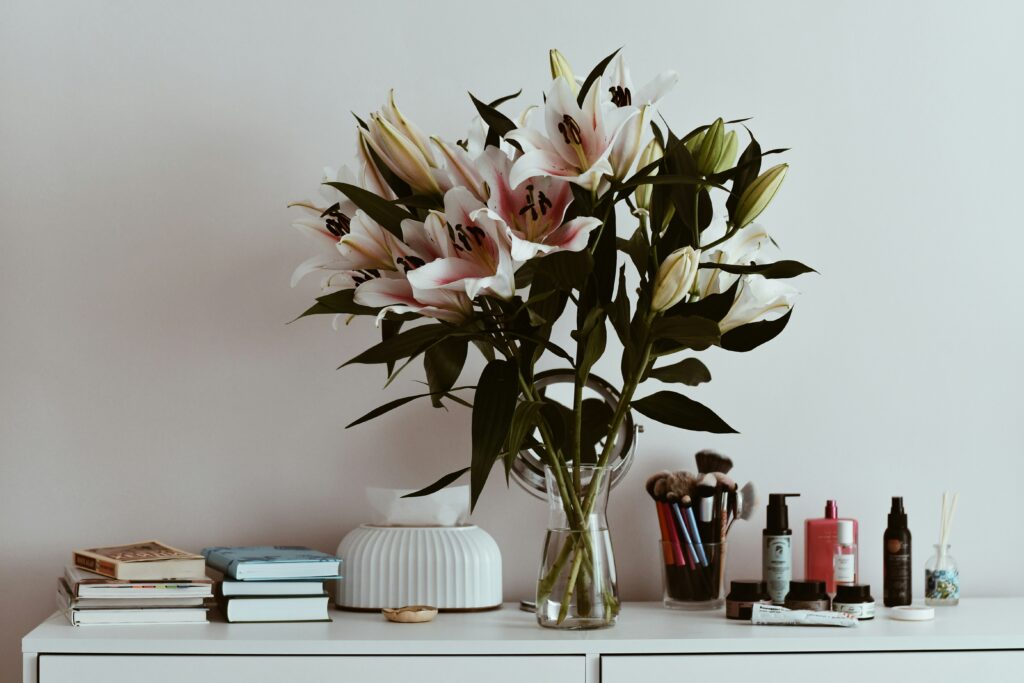 dina makhmutova xlogo6njkdu unsplash
