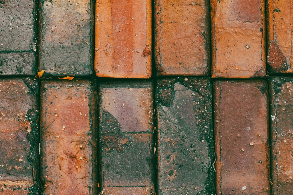 pexels steve 17940308