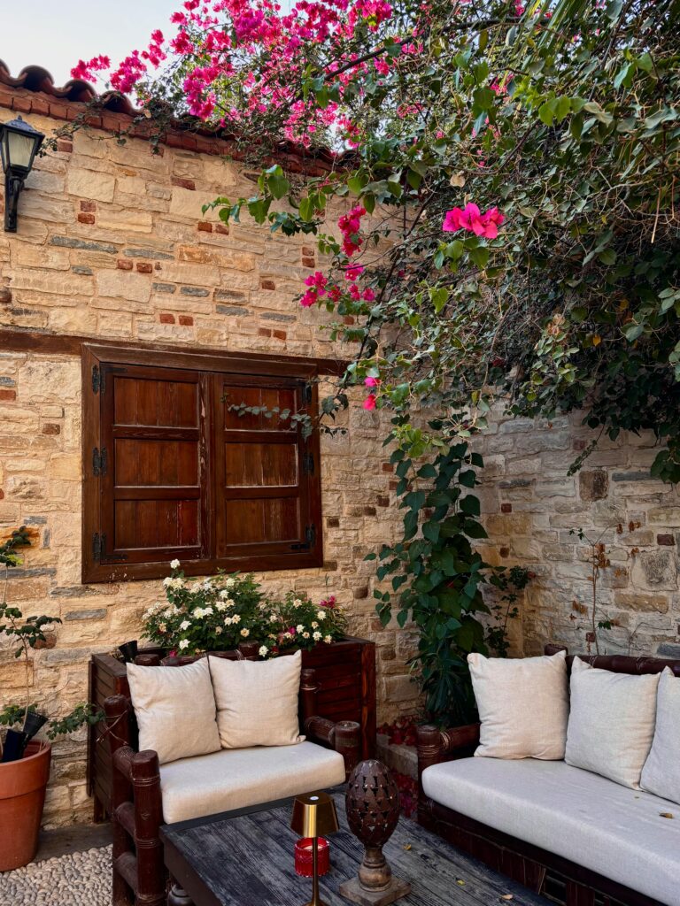 pexels dilara albamya 59969382 33547062